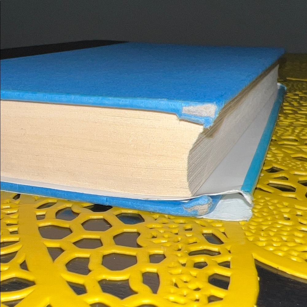 Wonder by R.J. Palacio - Blue Cover - Picture 6 of 7
